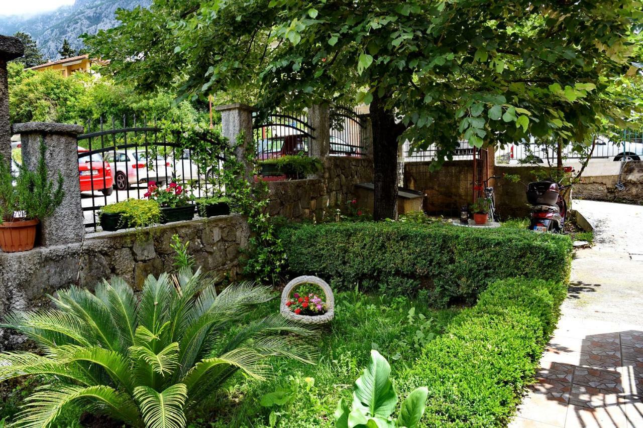Martiva Apartman Kotor